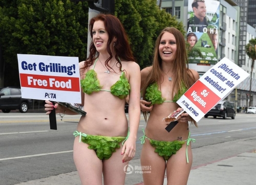 美國(guó)街頭 美國(guó)街頭