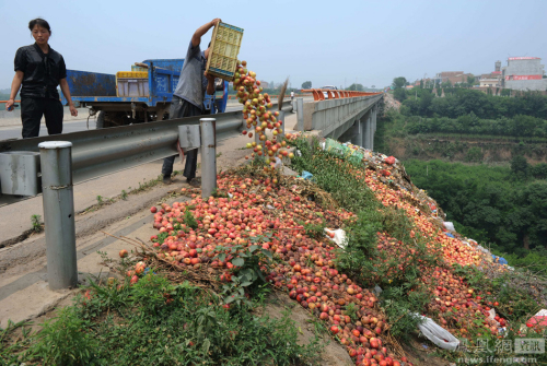 陜西：果農(nóng)將滯銷桃倒進河道