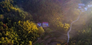 云蒸霞蔚小山村 云蒸霞蔚小山村