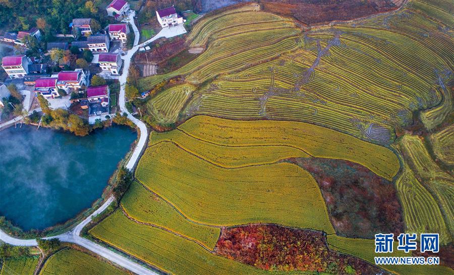 云蒸霞蔚小山村 云蒸霞蔚小山村