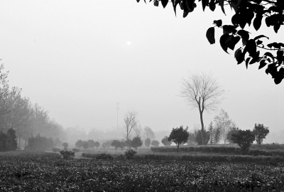 3月26日上午8點(diǎn),鄭大新校區(qū),濃濃的霧霾埋沒了大好春景。