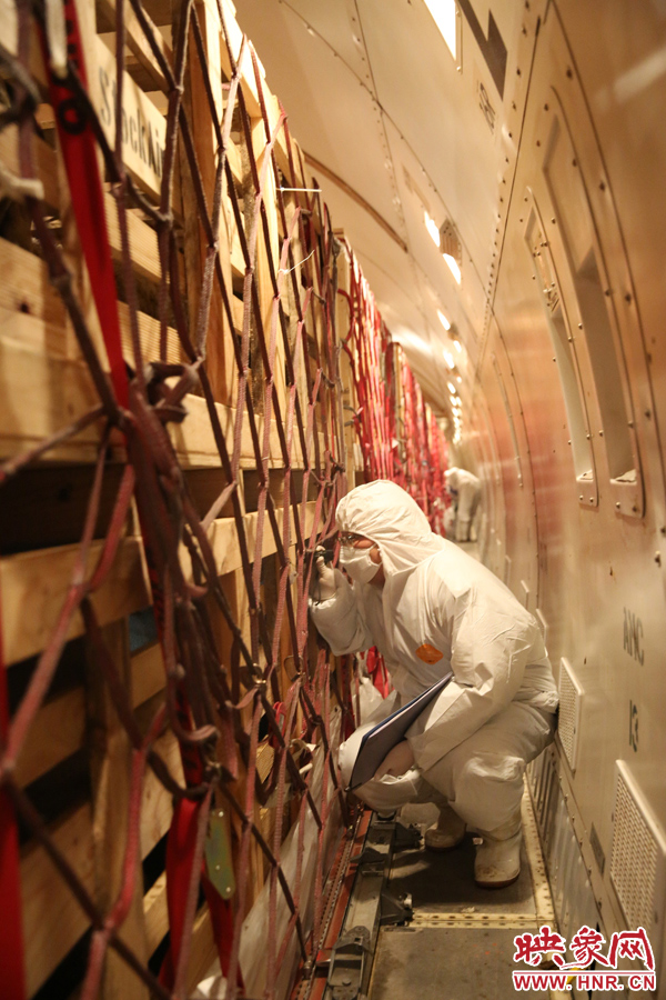 千只澳大利亞種羊“打飛的”落戶河南 創(chuàng)國內(nèi)多個(gè)第一 千只澳大利亞種羊“打飛的”落戶河南 創(chuàng)國內(nèi)多個(gè)第一