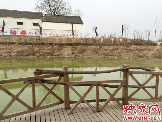 護欄損毀的地方，已經(jīng)被兩根樹干擋住。