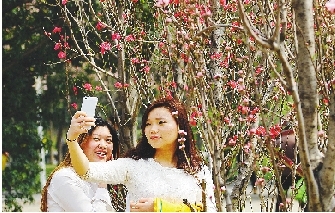 市民在公園與花合影。