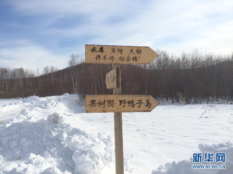 穗豐園里的標識牌（2013年12月8日攝）。新華社記者王子辰攝