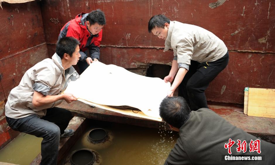 圖為考古現(xiàn)場工作人員小心翼翼將文物取出。