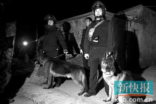 緝毒犬協(xié)助警方搜查毒品。