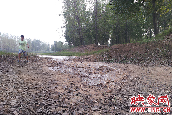 18日丹江水沿澎河流向白龜山水庫，孩子歡騰起來，跟著水頭奔跑。