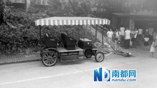 園方則稱解剖后發(fā)現馬死于心臟衰竭，“與累無關”。