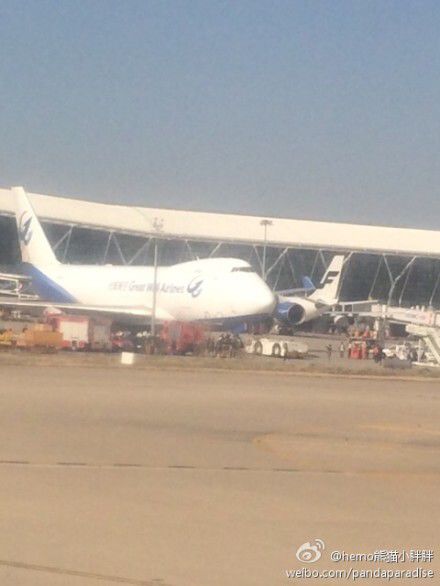 圖說：發(fā)生事故的飛機(jī)。圖片來源：新浪微博網(wǎng)友圖（請私信“新民晚報新民網(wǎng)”以奉稿酬）
