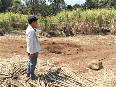昨日，在大水桑樹(shù)村，村民向記者展示13日造成5死8傷的炸彈事件彈坑。