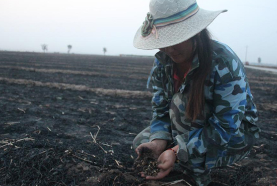 村民們眼巴巴看著豐收的小麥“葬身”火海，心疼不已。