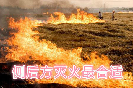 不要在風(fēng)頭上打火：風(fēng)正大，火正旺，最容易傷人；