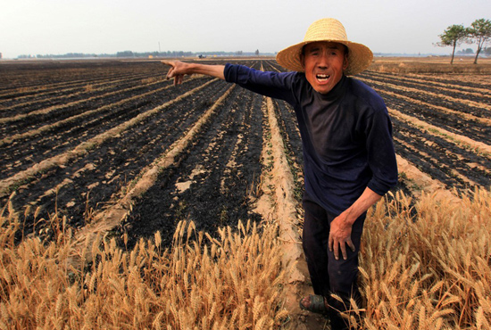 河南省滑縣、內(nèi)黃縣麥田著火，麥壟套種的花生、玉米苗也被烤焦，群眾損失慘重