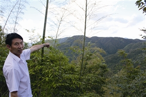 村民吳學(xué)田告訴記者，對(duì)面兩座山就是潘建友承包的部分山場(chǎng) 見(jiàn)習(xí)記者 邱一文 攝