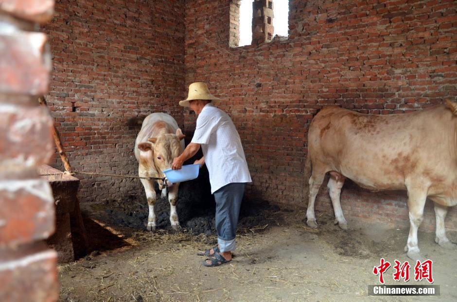 同時(shí)，地下水位的持續(xù)下降以及部分山泉水的干涸，已造成全縣2.85萬人和2000頭大牲畜出現(xiàn)飲水困難。