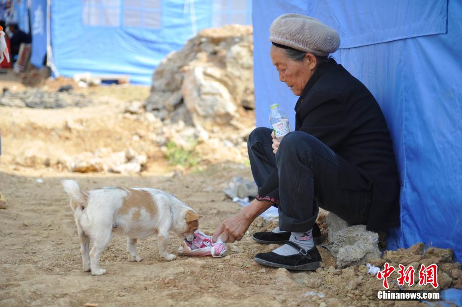 8月6日，一名老人將剛領(lǐng)到的礦泉水分給小狗。