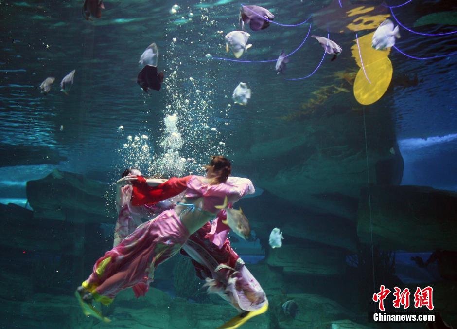9月7日，在中秋節(jié)到來前一天，山東泉城海洋極地世界為游客帶來“嫦娥水中奔月”表演。