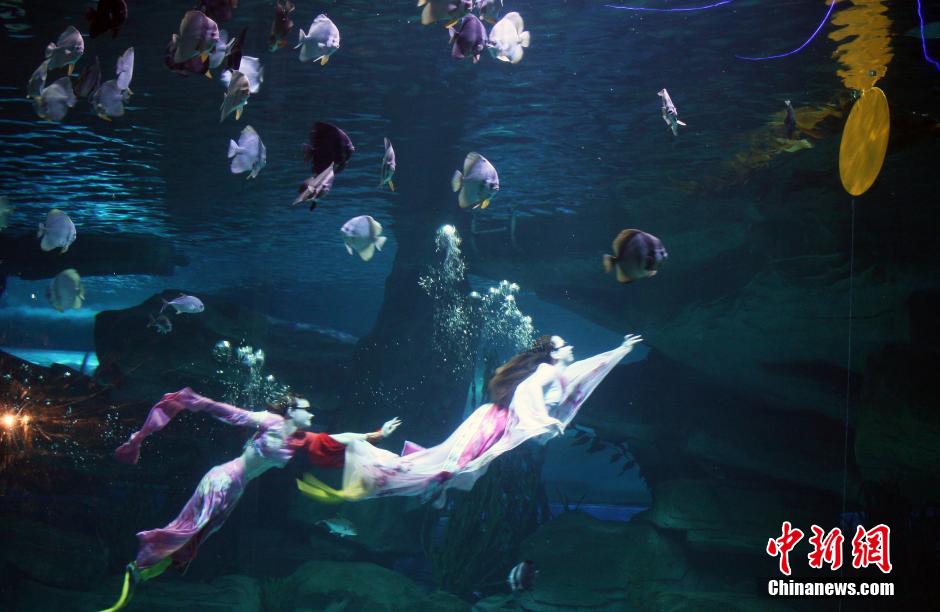 9月7日，在中秋節(jié)到來前一天，山東泉城海洋極地世界為游客帶來“嫦娥水中奔月”表演。