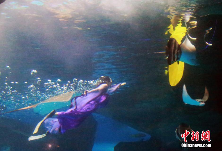 9月7日，在中秋節(jié)到來前一天，山東泉城海洋極地世界為游客帶來“嫦娥水中奔月”表演。