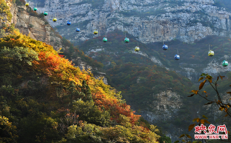 索道下的山坡，陽(yáng)光灑在色彩繽紛的樹(shù)葉上