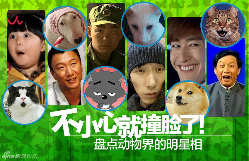 不小心就撞臉了！盤點(diǎn)動(dòng)物界的明星相