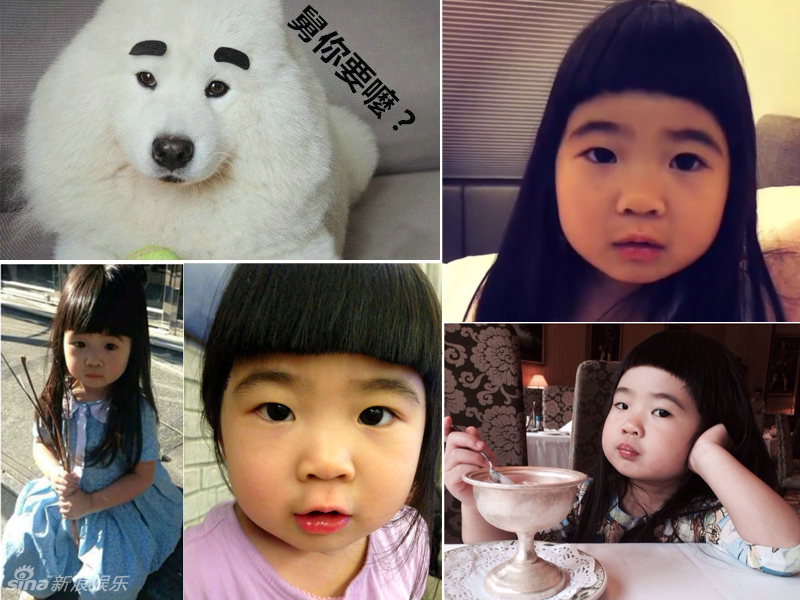 不小心就撞臉了！盤點(diǎn)動(dòng)物界的明星相