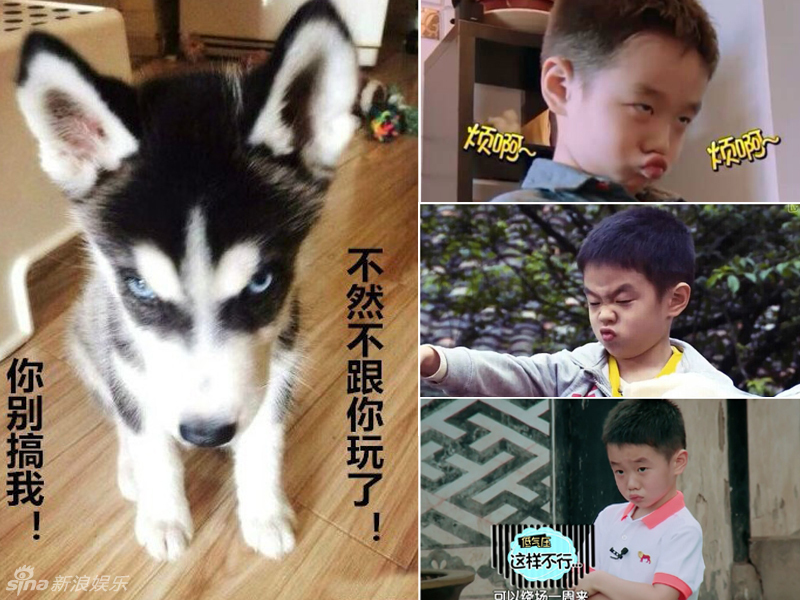 不小心就撞臉了！盤點(diǎn)動(dòng)物界的明星相