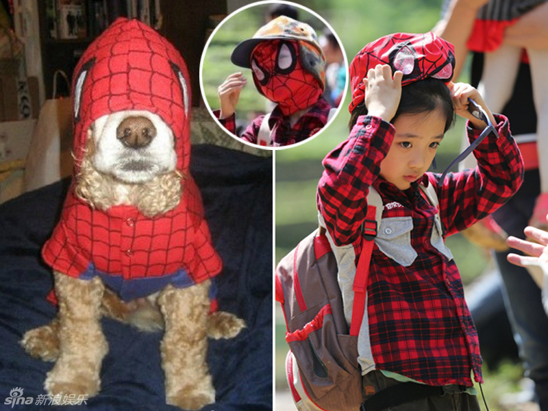 不小心就撞臉了！盤點(diǎn)動(dòng)物界的明星相