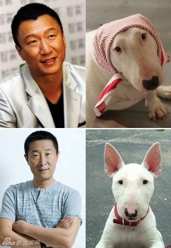 不小心就撞臉了！盤點(diǎn)動(dòng)物界的明星相