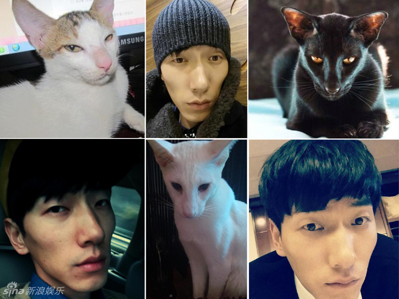 不小心就撞臉了！盤點(diǎn)動(dòng)物界的明星相