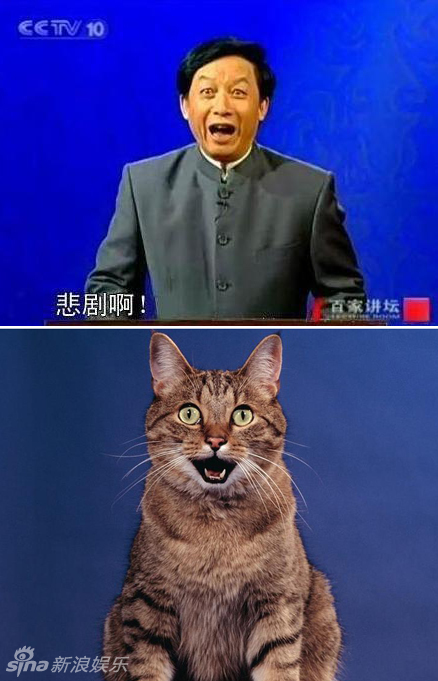 不小心就撞臉了！盤點(diǎn)動(dòng)物界的明星相