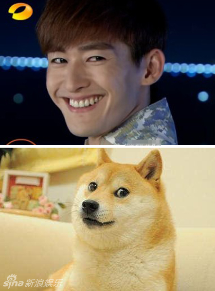 不小心就撞臉了！盤點(diǎn)動(dòng)物界的明星相