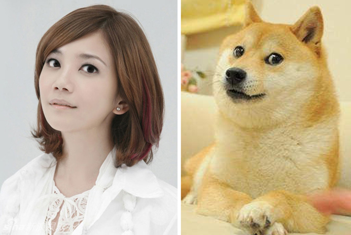 不小心就撞臉了！盤點(diǎn)動(dòng)物界的明星相