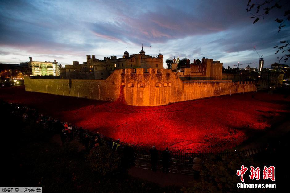 當(dāng)?shù)貢r(shí)間2014年11月10日，英國倫敦，倫敦塔周邊“種植”了888246朵陶瓷材質(zhì)的罌粟花，以此紀(jì)