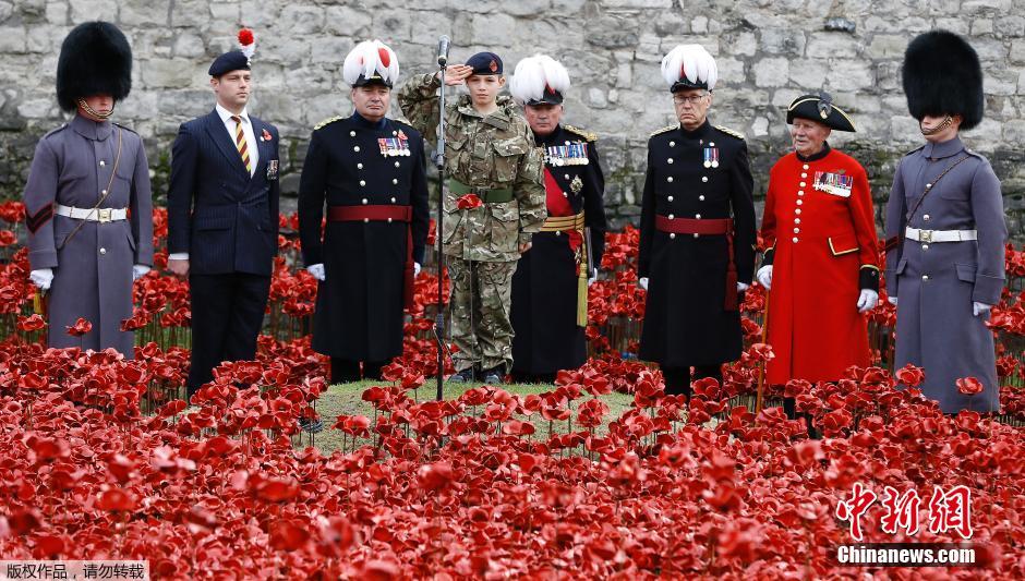 當(dāng)?shù)貢r(shí)間2014年11月10日，英國倫敦，倫敦塔周邊“種植”了888246朵陶瓷材質(zhì)的罌粟花，以此紀(jì)