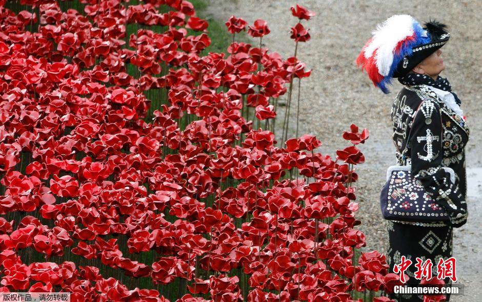 當(dāng)?shù)貢r(shí)間2014年11月10日，英國倫敦，倫敦塔周邊“種植”了888246朵陶瓷材質(zhì)的罌粟花，以此紀(jì)