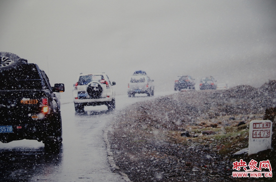 賽車的世界、更是男人的世界。圖為部分參展攝影作品。