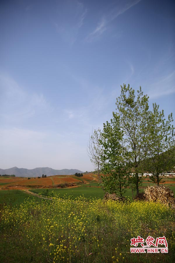 庫區(qū)的藍天、白云、綠樹、黃花給人清新的享受