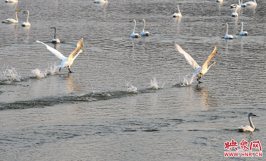 凌波微步 凌波微步