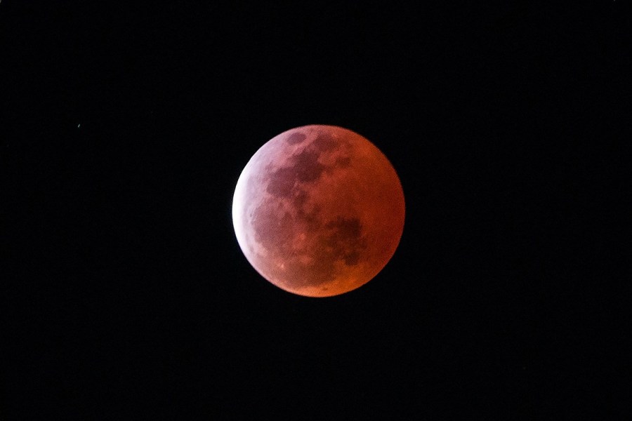 4月4日，福州上空出現(xiàn)紅月亮。楊婀娜/CFP