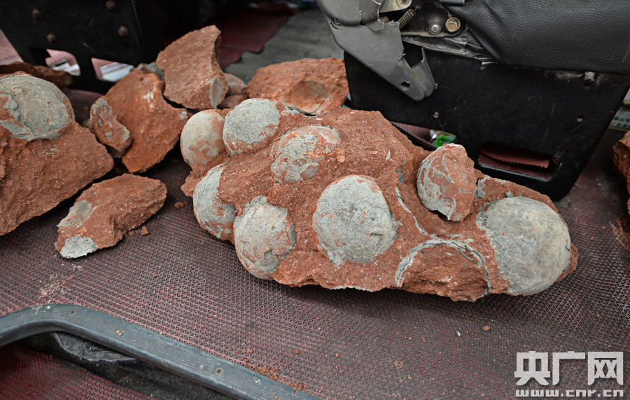 其中完整的19枚，都是直徑約13厘米的“大個子”。