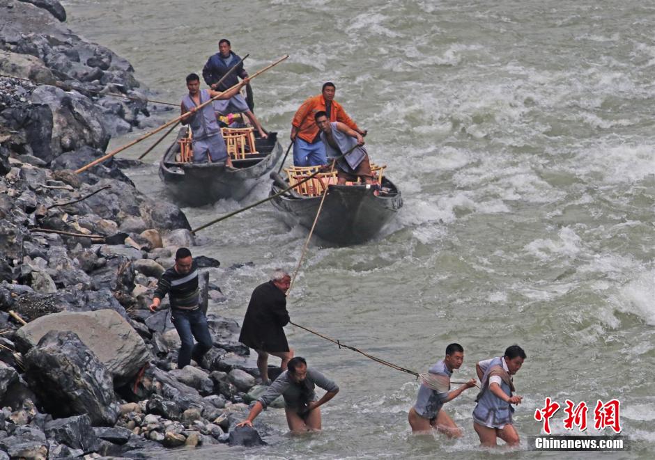 纖夫在神農(nóng)溪畔牽引木船溯溪而上。