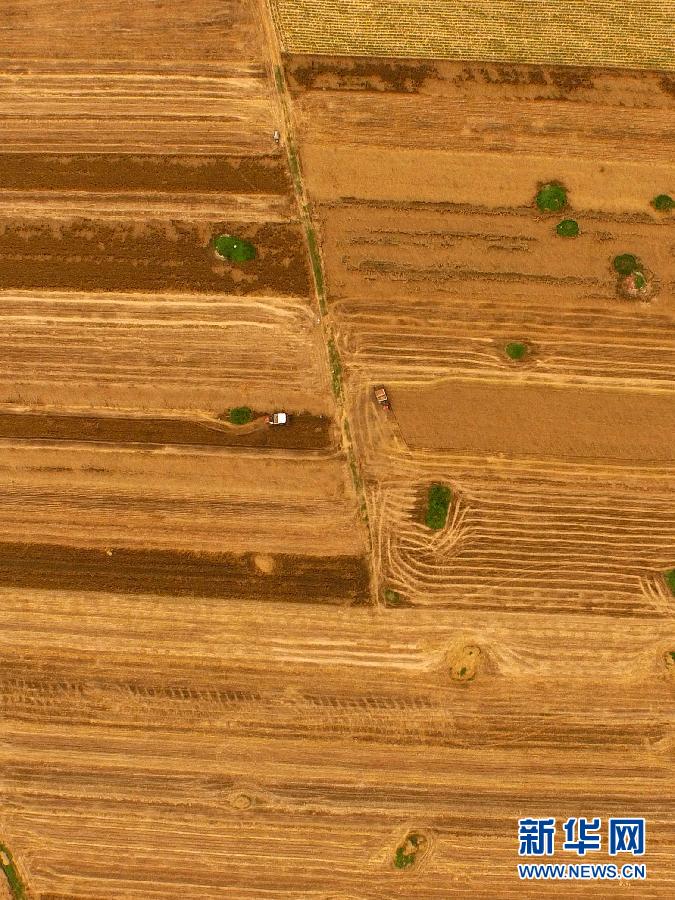這是5月28日在河南省南陽市唐河縣甘河灣村航拍的麥?zhǔn)宅F(xiàn)場(chǎng)。
