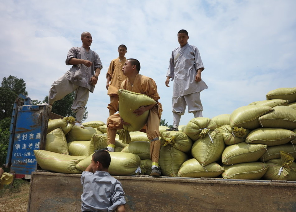 武僧將打包后的糧食集中至運(yùn)輸車(chē)輛上。