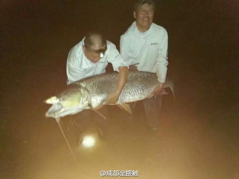 圖為大魚需要兩個(gè)人抱起。