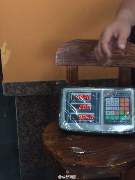 父子倆為大魚量體重。