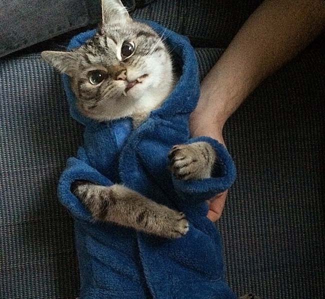 身穿浴袍的Loki好像看起來(lái)也沒(méi)那么兇哦。