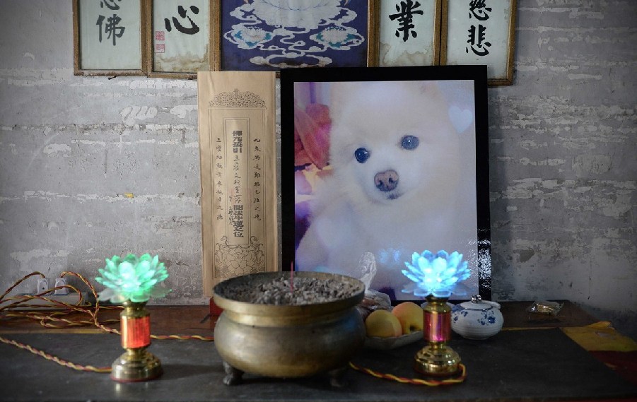 寵物狗的遺像被擺放在寺廟中。