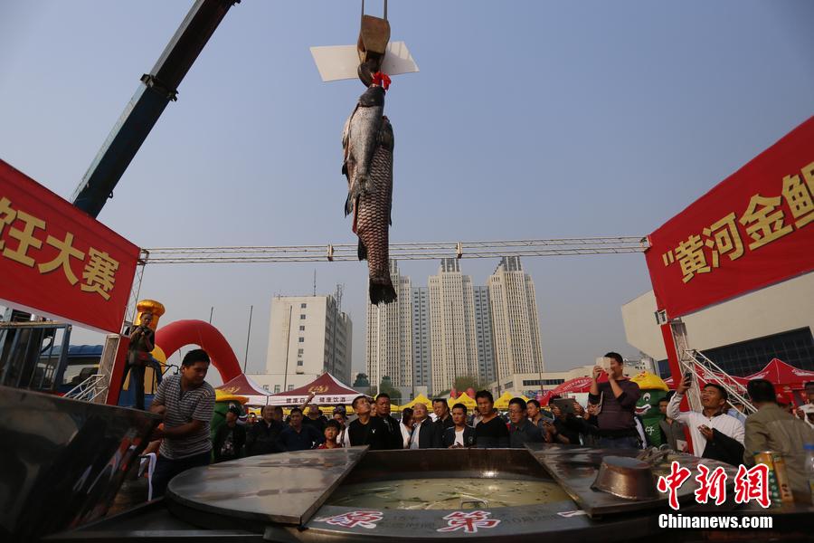 起重機(jī)吊起161.2斤魚王下鍋。 圖片來(lái)源：CFP視覺中國(guó)